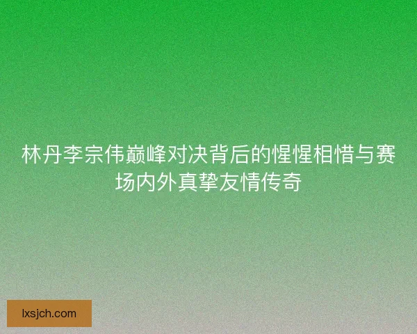 林丹李宗伟巅峰对决背后的惺惺相惜与赛场内外真挚友情传奇
